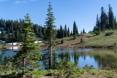 Tipsoo Gölü 'nün etrafındaki patika. Rainier Ulusal Parkı Washington ABD