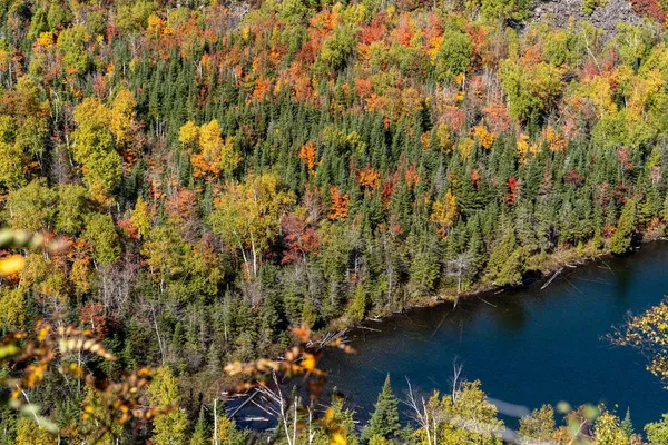 明尼苏达州Bean和Bear湖小径沿线的落叶 — 图库照片