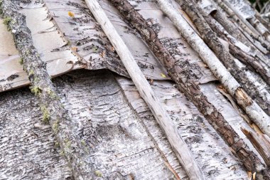 Huş ağacı kabuğu dokusunu kapat