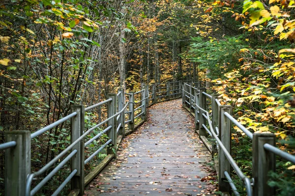 Διαδρομή Πεζοπορίας Στο Grand Portage State Park Στη Μινεσότα — Φωτογραφία Αρχείου