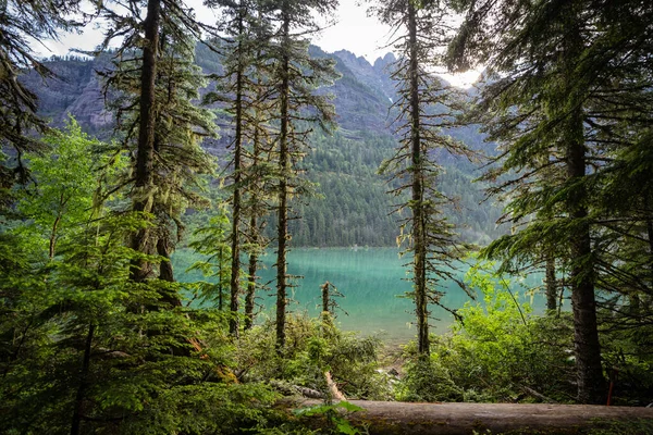 Bela Costa Lago Avalanche Parque Nacional Glacier Montana — Fotografia de Stock