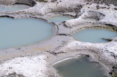 Yellowstone Ulusal Parkı Wyoming 'in Batı Parmak Gayzer havzası bölgesi. Kapatın.
