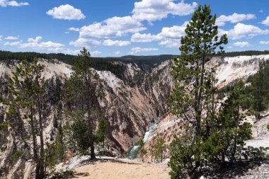 Yellowstone Ulusal Parkı 'ndaki İlham Noktası' ndan, kanyon bölgesinden, nehre bakan