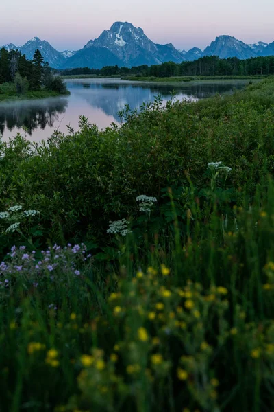 Oxbow Bend Національному Парку Гранд Титон Під Час Яскравого Рожевого — стокове фото