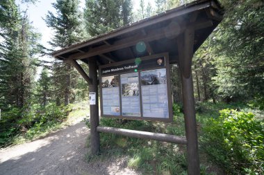 Wyoming, ABD - 27 Haziran 2021: Grand Teton Ulusal Parkı 'nda Lupine Meadows için patika işareti