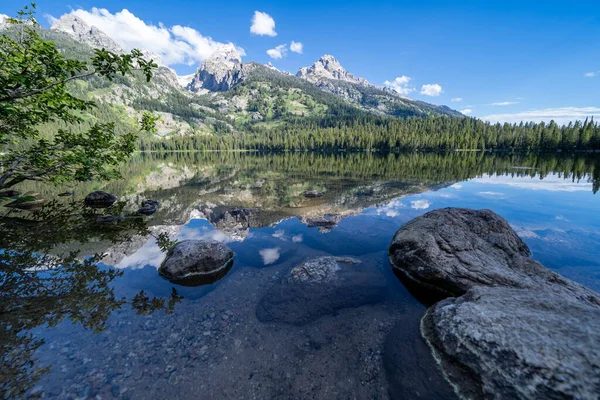 Grand Teton National Park Vista Del Lago Bradley Hermoso Lago — Foto de Stock