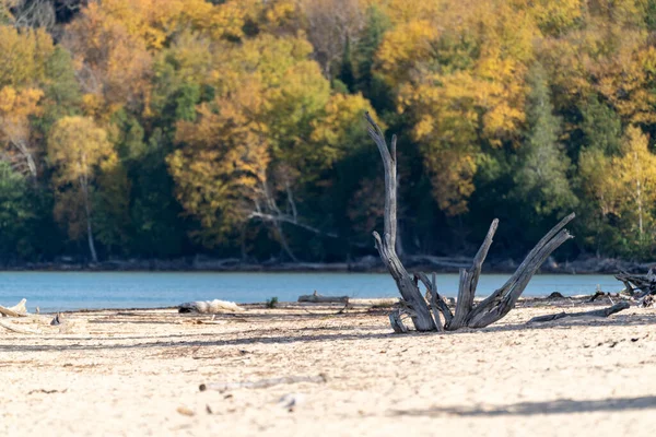 Sand Point Beach Obrazové Skály Národní Lakeshore Podzim Naplaveným Dřevem — Stock fotografie