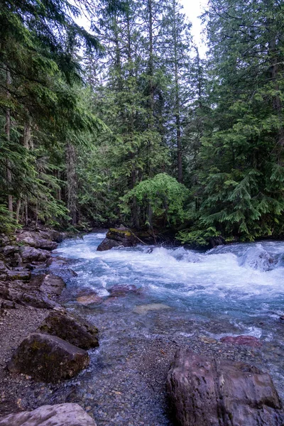 Avalanche Creek Its Teal Waters Flow Dense Forest Glacier National — Stock Photo, Image
