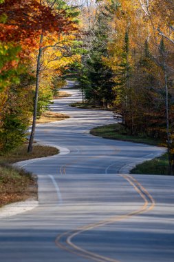 Door County Viraj Yolu Wisconsin 'de sonbahar sezonunda