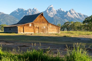 TA Moulton Barn Grand Teton Ulusal Parkı Wyoming 'de