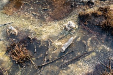Yellowstone Ulusal Parkı 'ndaki bir gayzerin sıcak kaynak suyundaki mineral yataklarını ve bakterileri kapatın.
