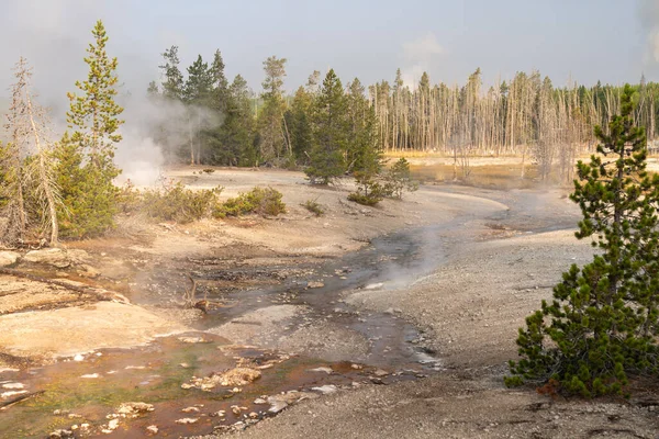 Parque Nacional Yellowstone Cuenca Del Norris Geyser — Foto de Stock