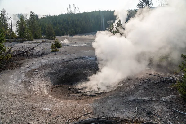 Embudo Amarillo Primavera Cuenca Norris Geyser Del Parque Nacional Yellowstone —  Fotos de Stock