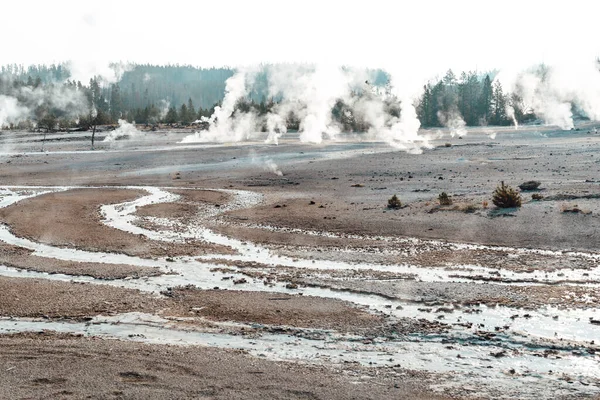 Norris Gejzír Povodí Yellowstone National Park Dopoledních Hodinách — Stock fotografie