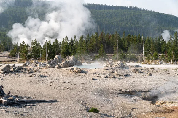 Porkchop Geyser Área Norris Geyser Basin Del Parque Nacional Yellowstone — Foto de Stock