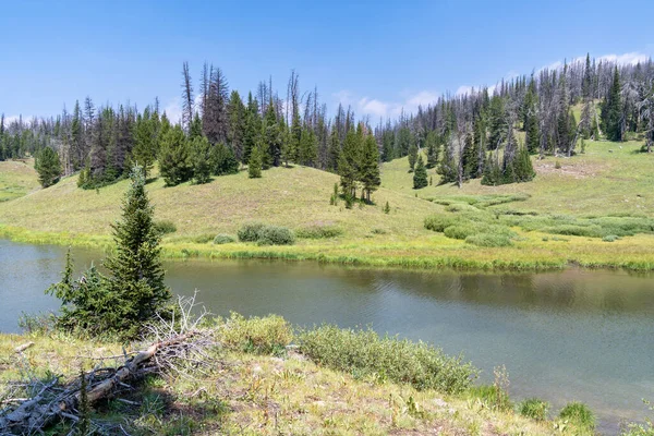 Wyoming 'deki Yukarı Brooks Gölü, Shoshone Ulusal Ormanı' nda sisli bir yaz gününde