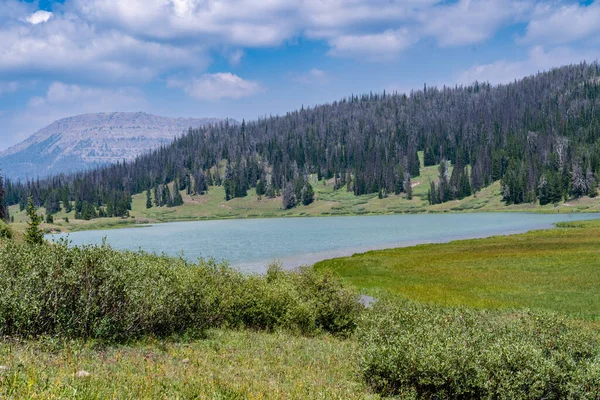 Upper Brooks Lake Nel Wyoming Nella Shoshone National Forest Una — Foto Stock