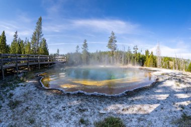 Yellowstone Ulusal Parkı 'ndaki ünlü Sabah Görkemi Gayzer' i.