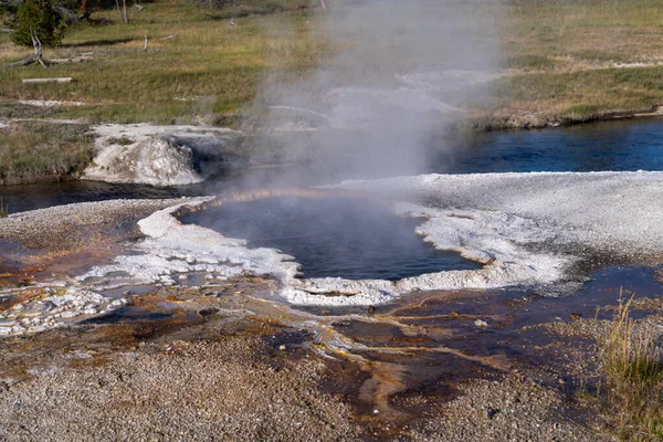 Printemps Pétoncles Sud Dans Parc National Yellowstone — Photo