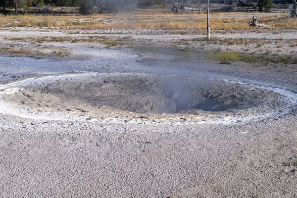 Churn Geyser Característica Térmica Parque Nacional Yellowstone — Fotografia de Stock