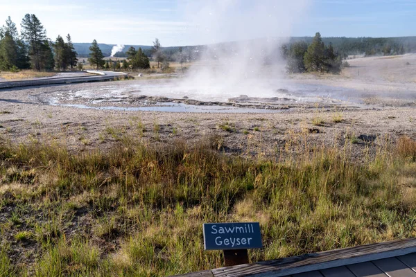 Aserradero Geyser Parque Nacional Yellowstone Estados Unidos — Foto de Stock