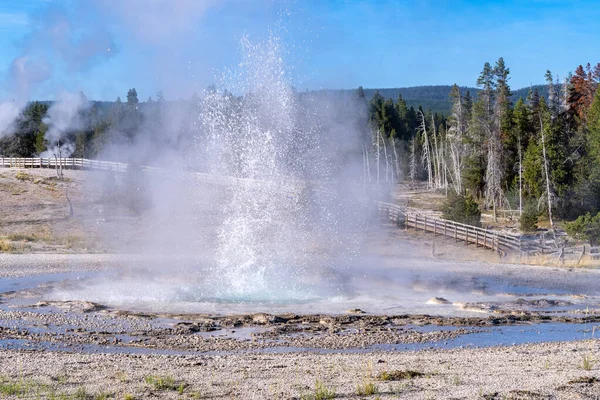 Sawmill Geyser Kitör Yellowstone Nemzeti Park Usa — Stock Fotó