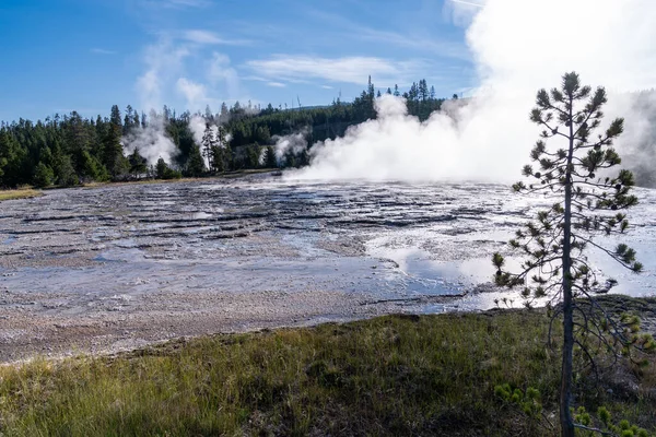Geiser Oblongo Parque Nacional Yellowstone —  Fotos de Stock
