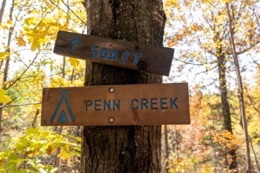 Minnesota 'daki Üstün Yürüyüş Patikası boyunca Penn Creek kamp alanına yürüyüşçüleri yönlendir.