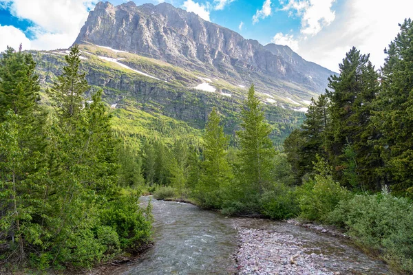 Scenery Swiftcurrent Pass Hiking Trail Glacier National Park Montana Usa — Stok Foto