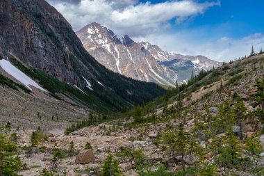 Scenery along the Path of the Glacier Trail, Mt. Edith Cavell in Jasper National Park Canada