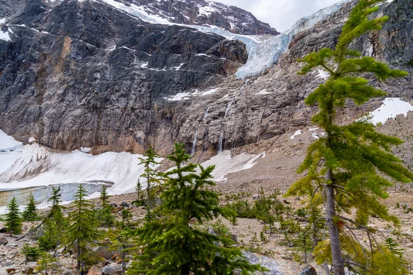 Angel Glacier Waterfalls Path Glacier Trail Edith Cavell Jasper National — Stok fotoğraf