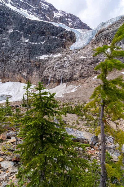 Angel Glacier Waterfalls Path Glacier Trail Edith Cavell Jasper National — Stock Fotó