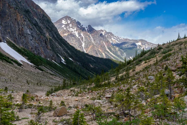 Scenery Path Glacier Trail Edith Cavell Jasper National Park Canada —  Fotos de Stock