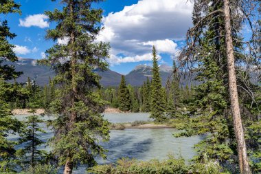 The Athabasca River in Jasper National Park along Icefields Parkway (Highway 93) in Canada