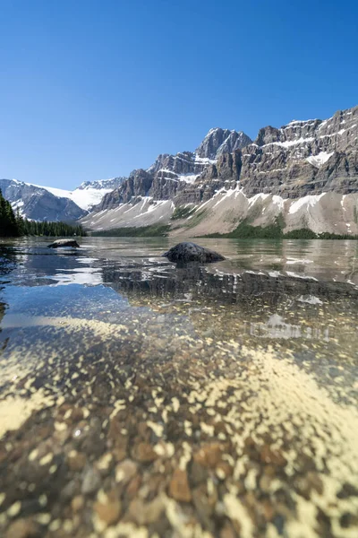 Calm Water Bow Lake Banff National Park Icefields Parkway Yellow — Zdjęcie stockowe