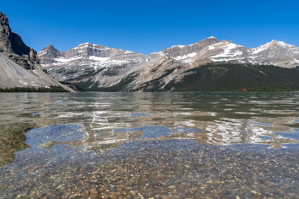 Bow Lake Banff National Park Icefields Parkway Summer — Foto de Stock