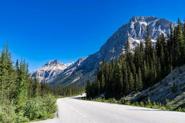 Icefields Parkway Also Known Highway Road Banff National Park Jasper — Stock Fotó