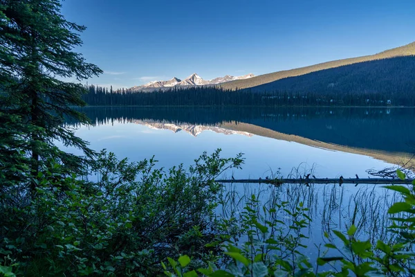 Emerald Lake Sunrise Calm Water Yoho National Park Canada — Stockfoto