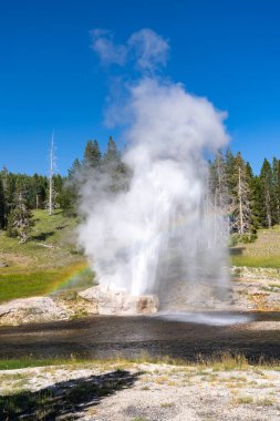 Riverside Geyser erupts in Yellowstone National Park, with a rainbow in Wyoming USA