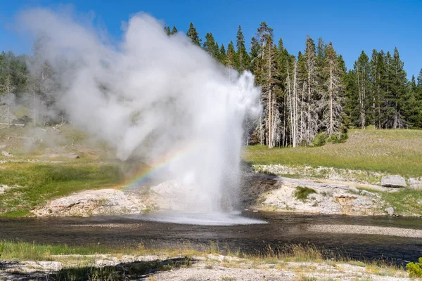 Riverside Geyser Erupts Yellowstone National Park Rainbow Wyoming Usa — Stock Photo, Image