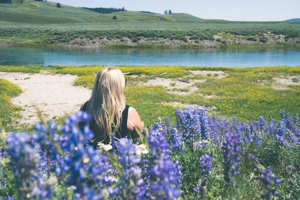 Blonde woman, back facing camera, sits in a field of lupine wild