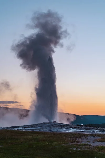 Old Faithful Geyser Erupts Yellowstone National Park Sunset — Stock Photo, Image