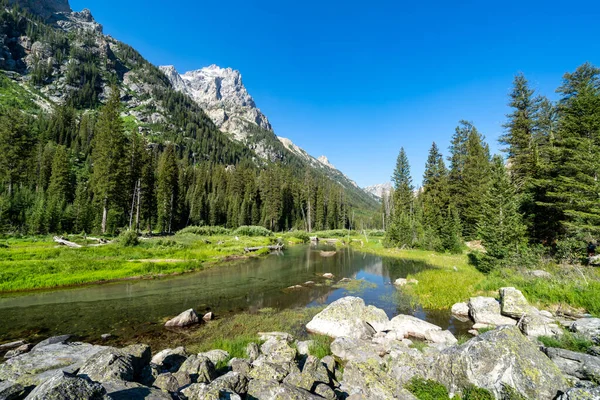 Peaceful Pond Cascade Canyon Trail Grand Teton National Park Wyoming — 스톡 사진