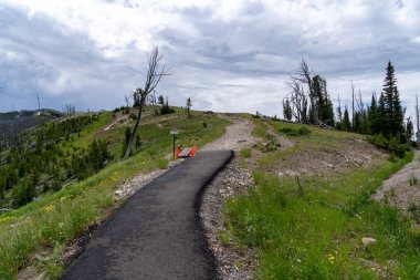 Trailhead start of the Mt. Washburn Trail in Yellowstone National Park