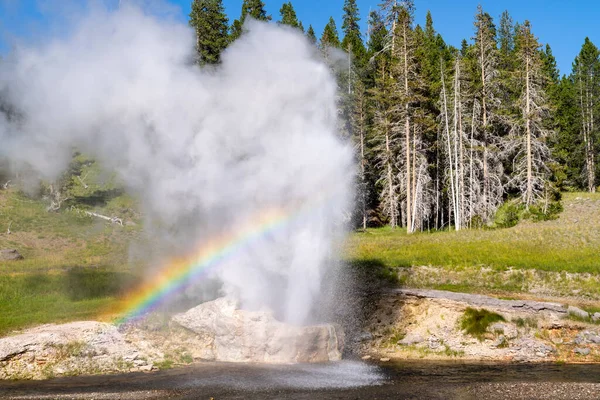 Riverside Geyser Yellowstone National Park Erupts Sunny Day Rainbow Steam — Fotografia de Stock