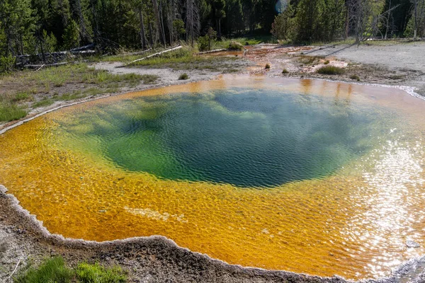 Colorful Famous Morning Glory Pool Hot Spring Yellowstone National Park — Stockfoto