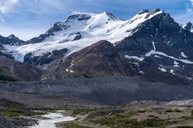 View of the Columbia Icefield glaciers from the Icefields Parkway in Canada