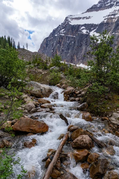 Riacho Pacífico Longo Caminho Trilha Glaciar Monte Edith Cavell Parque — Fotografia de Stock