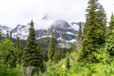 Scenery along the Grinnell Glacier trail in Glacier National Park in July