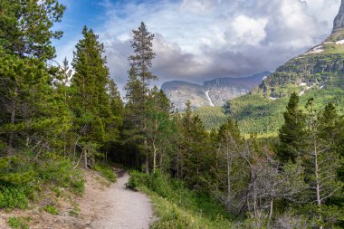 Scenery along the Swiftcurrent Pass hiking trail in Glacier National Park Montana USA